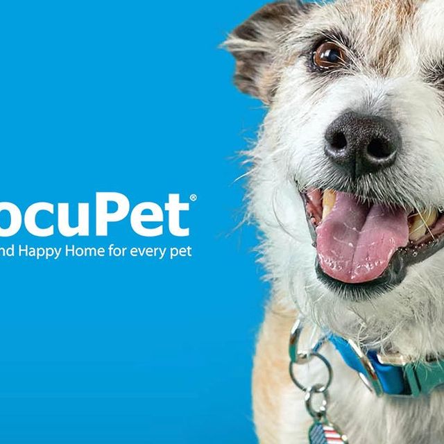 We are thrilled to announce @docupet has selected FWV Fetching to support the innovative pet licensing brand’s public relations efforts. The revolutionary pet-centric company is partnering with the agency to increase visibility and amplify their expansion into larger markets. 

“DocuPet is disrupting the pet licensing industry with a game-changing business model. They have partnered with nearly 100 municipalities across the U.S., boosting license sales by an average of more than 85% and helping return hundreds of lost pets this year alone,” said FWV Senior Vice President, Leah Markham. ​“With the continued expansion of our robust pet and vet practice, we are excited to engage with North America’s premier pet licensing business.” Read more through the link in our bio.