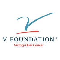V foundation