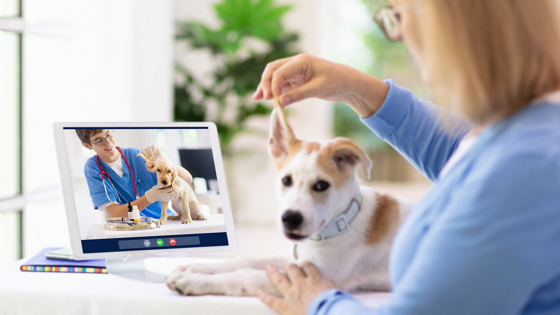 Pandemic Driven Pet Industry Trends and What They Mean for 2022 1920x1080 televet